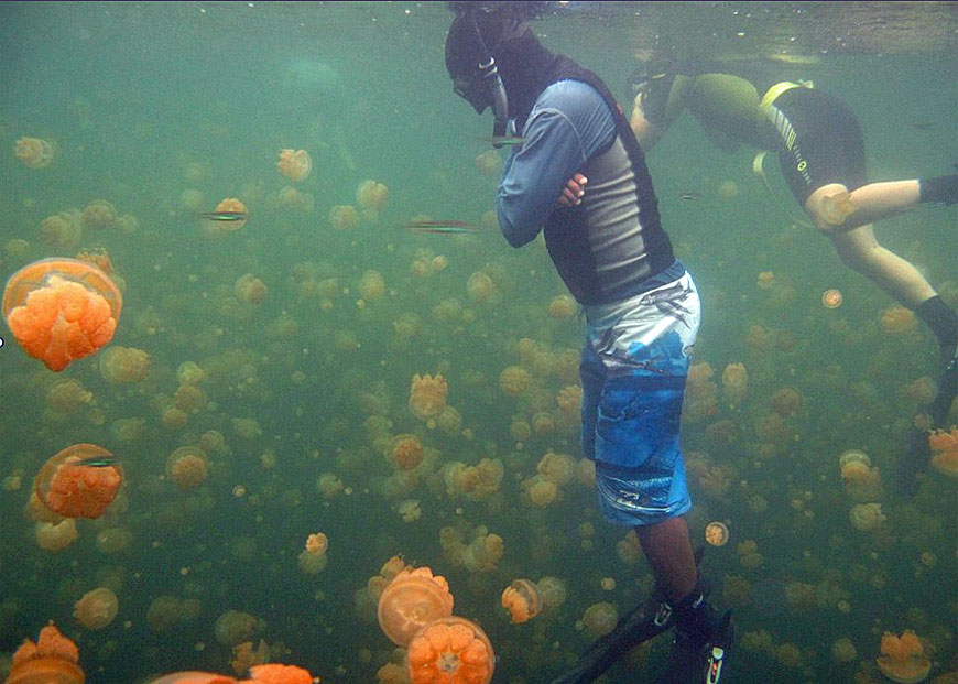 obb063025_baigent_04