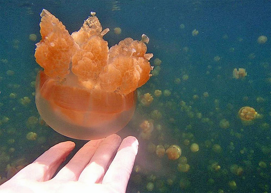 obb063025_baigent_05